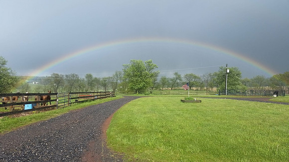Rainbow