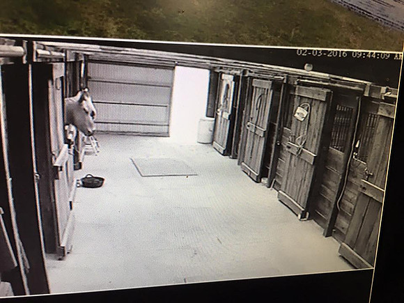 2016 February Security Cameras