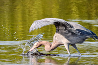 IMG_3391