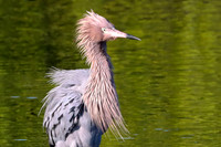 IMG_3437