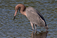 IMG_3462