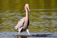 IMG_3495