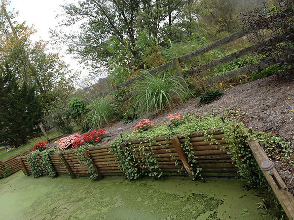 Pond stocked with Bass & Kio