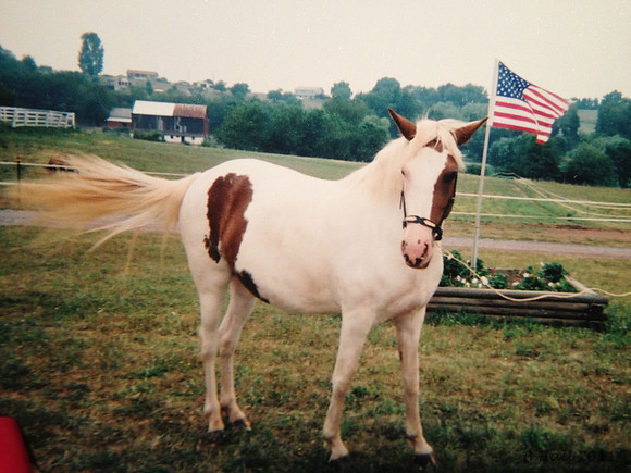 lyra i