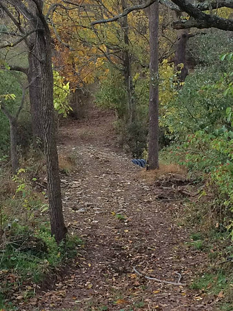 2014 September New Trail Bridge