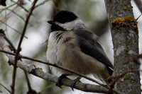 untitled-3-5