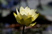 untitled-23-12