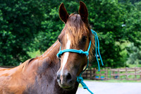 untitled-64-2-2