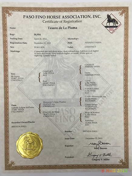 Tesoro de la Pluma