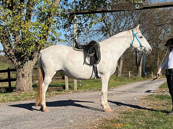 IMG_7869