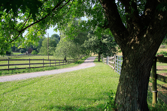 Driveway and Bridlepath