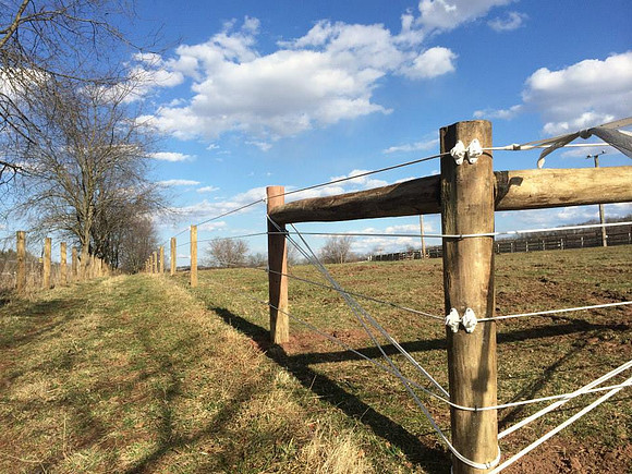 2015 More Fence Upgrades