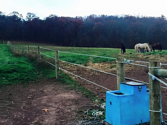 Automatic Frost Free Water to all Pastures