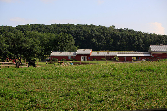 Stable